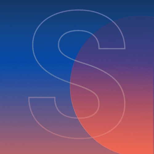 Silver Logo Design & Brand Identity